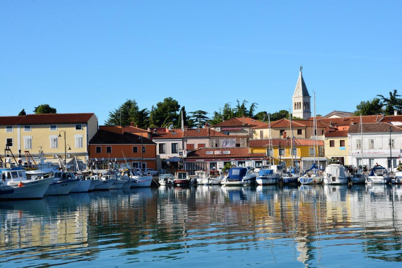 Villa Vienna Novigrad  ภายนอก รูปภาพ