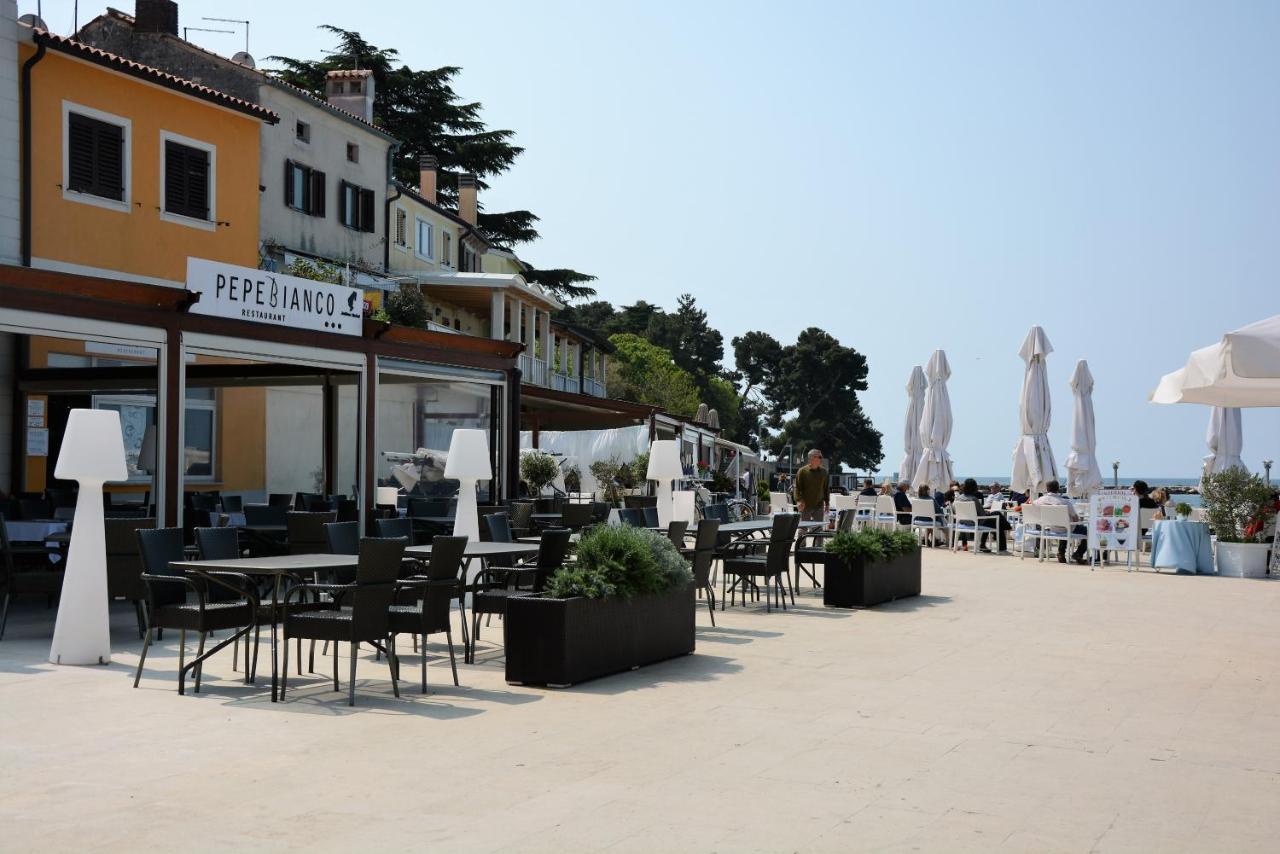 Villa Vienna Novigrad  ภายนอก รูปภาพ