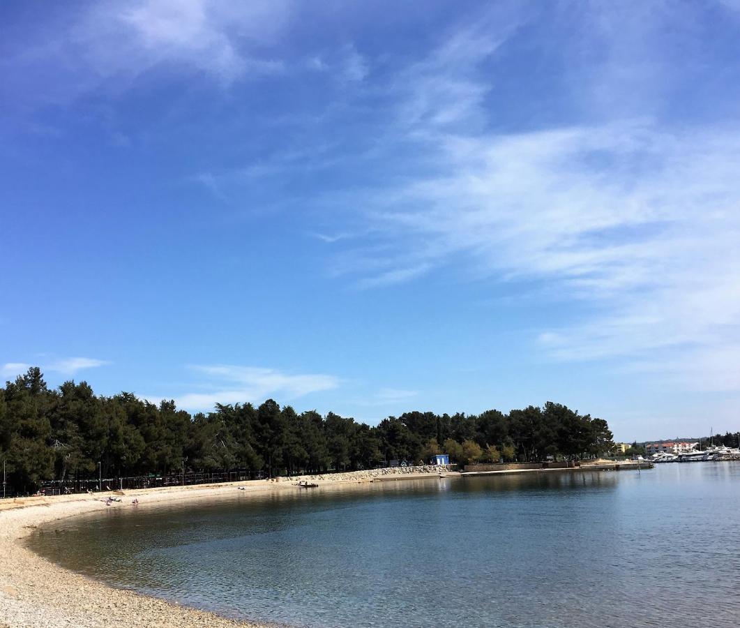 Villa Vienna Novigrad  ภายนอก รูปภาพ