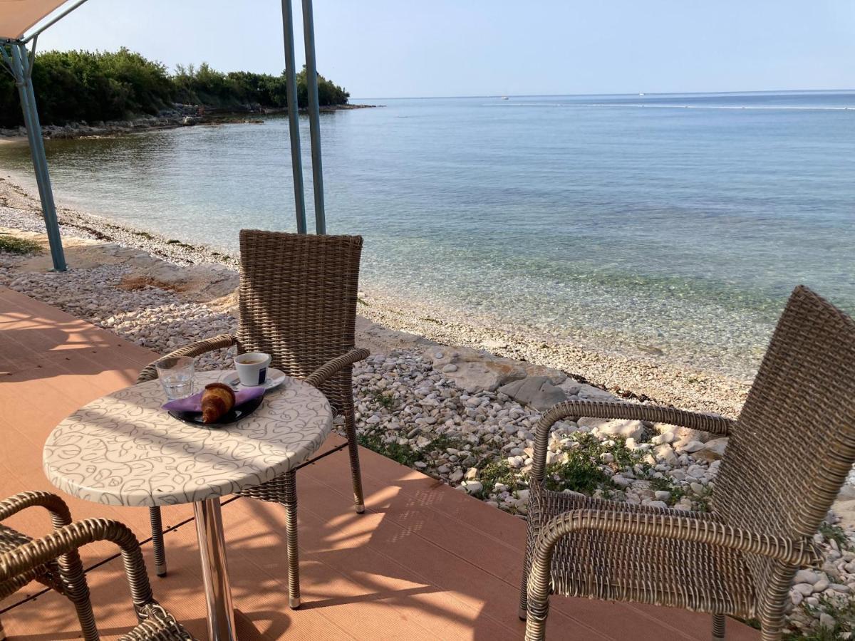Villa Vienna Novigrad  ภายนอก รูปภาพ